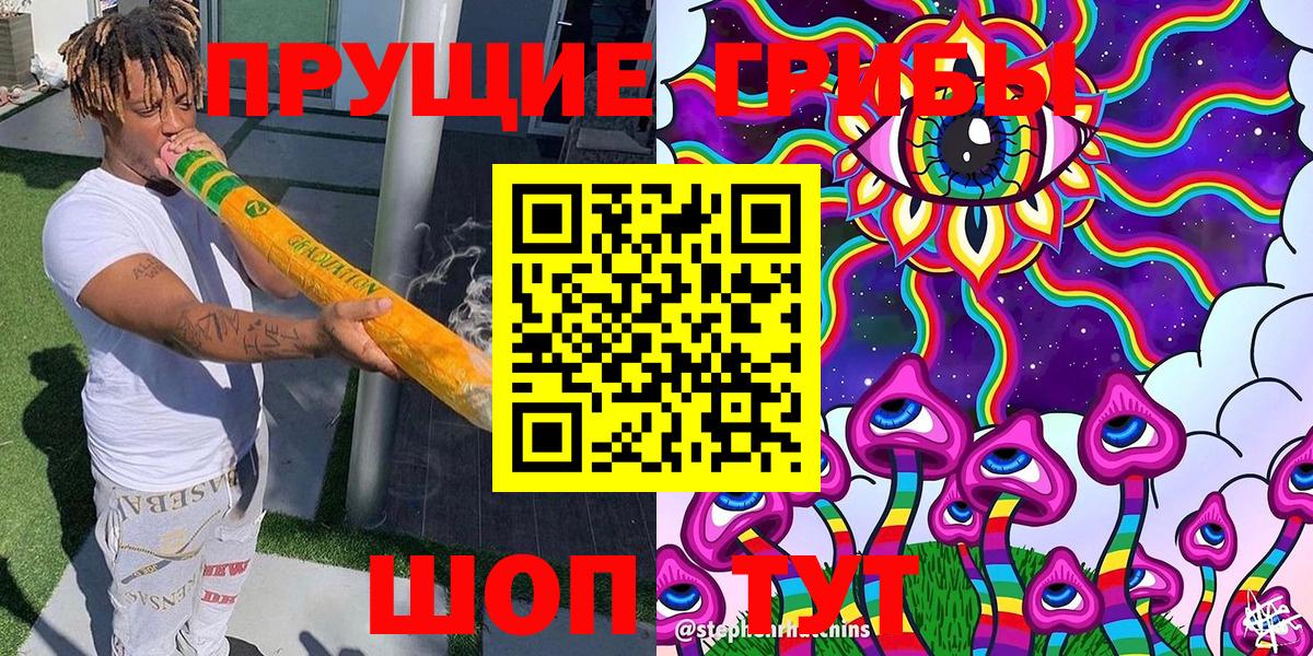 закладки  Вход с VPN  Донецк  Псилоцибиновые грибы Psilocybe 
